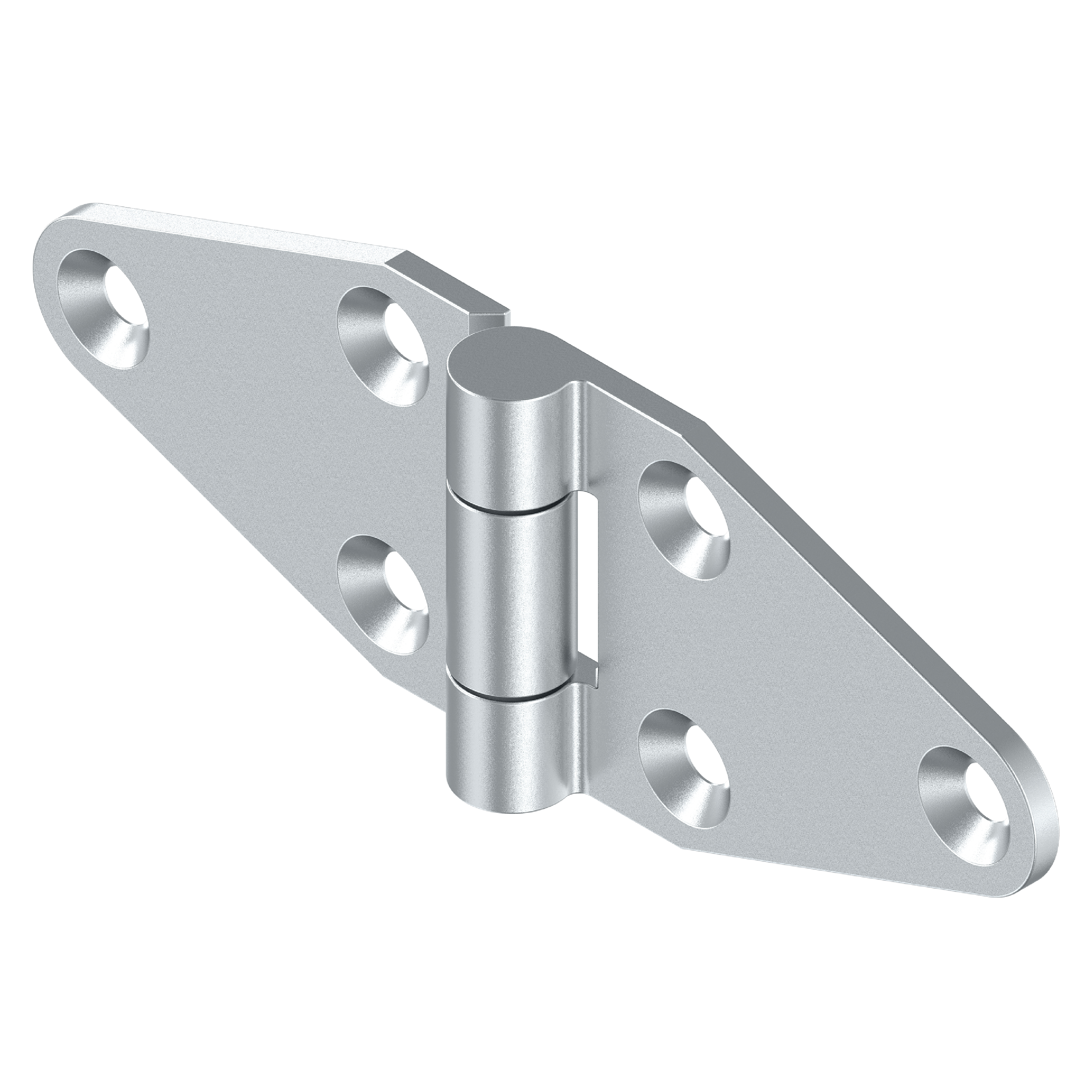 Screw-on Torque Hinge 2132 Series